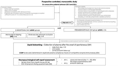The endogenous neuropeptide calcitonin gene-related peptide after spontaneous subarachnoid hemorrhage–A potential psychoactive prognostic serum biomarker of pain-associated neuropsychological symptoms